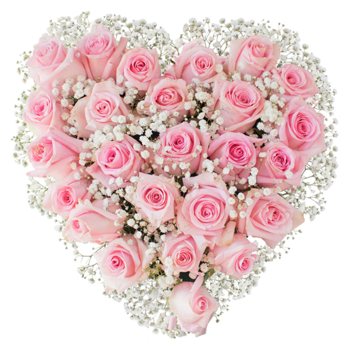 A lush, heart-shaped composition composed almost entirely of soft pastel pink roses sits crisply against a pure white background, presenting a unified field of colour and texture that reads as a single romantic emblem. Approximately two to three dozen roses create the core mass; each bloom is chosen for the way its petals unfurl - some still gently coiled, others opening to reveal delicate, spiralling centres - producing a varied but harmonious surface. Scattered generously among the roses, tiny white gypsophila - baby's breath - creates a fine, cloud-like veil that adds lightness and contrast, subtly defining the heart's outline while imparting an ethereal softness. The bright, even lighting reveals the tactile qualities of the flowers: the satin sheen of the petals, the crisp edges where petals overlap, and the shallow shadows that convey depth without heaviness. This arrangement is crafted with the precision of an experienced Southgate florist mindful of proportion and balance, ideal for romantic celebrations such as Valentine's Day, wedding displays, or thoughtful anniversary tributes. Locally, it pairs well with an intimate reception near Broomfield Park or as a statement piece delivered to a home on Chase Side; the palette and form are chosen to communicate enduring affection and gentle devotion. There's a calm dignity to the design - a floral language of tenderness and esteem - that comes from attentive conditioning of stems and an eye for classical shape, so the bouquet reads as a refined, heartfelt offering in pale pink and white.