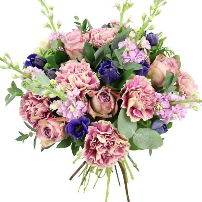 Against a bright, uncluttered white background, a luxurious hand-tied bouquet is captured in full detail, showcasing an artful blend of colour and texture that feels perfectly at home in Southgate's elegant houses and cosy cafés. At the centre sit several large garden roses in tones of dusty rose, soft blush, and muted mauve, their petals curled in tight spirals that open into plush, romantic blooms. Around them, an abundance of frilled carnations swirls outward, each petal edged in deeper rose or plum-pink while the centres remain creamy and pale, creating a soft gradient that adds depth and volume. Threaded through this romantic pink palette are rich accents of deep indigo-blue: some are closed, tulip-like buds that add structure, while one prominent royal blue anemone with a near-black centre anchors the lower portion of the bouquet with dramatic intensity. Tall stems of lilac and pale purple stock flowers emerge gracefully, their clusters of tiny blossoms lending airy movement and a hint of traditional garden fragrance. The flowers are framed by generous greenery: dark, glossy leaves and rounded, silvery eucalyptus, with each leaf catching the light and suggesting a subtle, cool aroma. The stems are gathered firmly at the base, clearly visible and slightly fanned, indicating a freshly tied, high-quality bouquet waiting to be placed in a favourite vase. This arrangement, with its harmonious mix of pinks, purples, blues, and greens, conveys refined romance and gentle comfort, making it well suited to anniversaries, thank-you gifts, or thoughtful gestures delivered to loved ones throughout Southgate and the neighbouring streets.