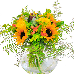 The immediate impression from this Southgate-crafted bouquet is sunlit optimism, radiating warmth from every petal and leaf as if capturing summer along Chase Side's leafy lanes. Dominant sunflowers rise at the centre with their signature golden rays and velvet brown centres, evoking both vibrancy and nostalgia. Interspersed are plump garden roses, unfurling in sumptuous layers of butter-yellow, their classic beauty softened by delicate, airy green fillers-most likely solidago-whose tiny star-shaped blossoms nod to wild meadows on the outskirts of Southgate. Deep green fern fronds cascade in gentle arcs, while slender spikes of filler and rustic eucalyptus leaves peek through the arrangement, adding depth and a whiff of crispness. Scarlet-red Hypericum berries are scattered throughout, providing textural and colour contrast against the bouquet's luminous yellows and verdant greens. The round, clear glass vase cradles each carefully trimmed stem, letting their organic lines and fresh-cut colour gleam through the water, reminiscent of sunlight dancing on a garden pond. Up close, the interplay of soft petals, suede-like sunflower faces, and glossy berry clusters creates a tactile richness. The scent is understated-a gentle mingling of rose, greenery, and a subtle woodland freshness. Amiable and generous in scale, this bouquet is perfect as a centrepiece for family celebrations, milestone birthdays, or to share a moment of joy with a friend in Southgate. It effortlessly blends classic floristry with the easy charm of North London's green spaces.