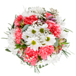 This expertly composed bouquet radiates the renewal and exuberance of spring in Southgate, blending crisp white daisies with cheerful lime centers, plush coral-pink carnations, and airy sprigs of gypsophila into a harmonious celebration of colour and form. Each daisy seems to embrace the light, their petals opening wide amidst a lush cushion of ruffled carnation blooms. Delicate clusters of gypsophila scatter throughout like light-hearted confetti, adding softness and a sense of gentle movement. Subtle hints of emerging alstroemeria buds with hints of blush, purple, and pink invite a sensation of curiosity-like wandering the tranquil paths by Broomfield Park and stumbling upon unexpected wildflowers. The eucalyptus leaves and varied greenery provide a seamless, aromatic foundation, their shapes and matte textures anchoring the bouquet in lasting freshness. Designed to spark happiness-whether atop a kitchen counter in Southgate, gracing a bedside table, or arriving as a surprise floral delivery-this arrangement captures the essence of celebration, renewal, and heartfelt connection so deeply cherished by the community.
