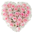 A perfectly formed, heart-shaped wreath of soft pink roses fills the frame, each blossom packed close to its neighbour to create a plush, velvety surface that reads like a single living fabric. The roses range in tone from whisper-pale blush at the outer petals to slightly deeper rose at the cupped centres, and they sit at varied stages of opening - some small, tight spirals just beginning to unfurl, others looser and bowl-shaped so their inner petals curl in luminous whorls. Interspersed throughout are clouds of tiny white gypsophila - baby's breath - whose fine, lacy sprays catch the bright studio light and lift the composition with an airy, almost filmy texture that frames the heart against the stark white background. The lighting is crisp and even, emphasizing the satin sheen on each petal, the delicate veining, and the subtle shadowing that gives depth to the rounded forms. Close your imagined hand to the bouquet and you can sense the cool, powdery touch of petals and the faint, clean scent of roses warmed by light. This arrangement reads as a careful statement of devotion: romantic and tender, equally suited to anniversaries, a heartfelt Valentine, a wedding accent, or a gentle tribute at a memorial. A local florist in Southgate would arrange these blooms to maintain freshness - conditioning each stem for longevity and balance - and might recommend it for a table at a small reception near Grovelands Park or as a loving gift collected from Southgate High Street. The overall feeling is one of refined intimacy, floral craft, and quiet affection rendered in blush and white.